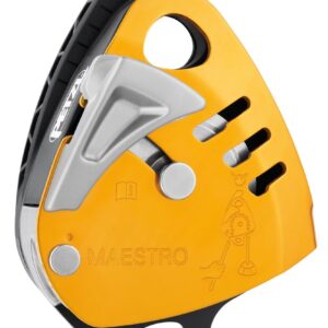MAESTRO® S